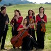 quartetto pegaso-63a
